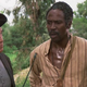 Roots (Warner Bros.)